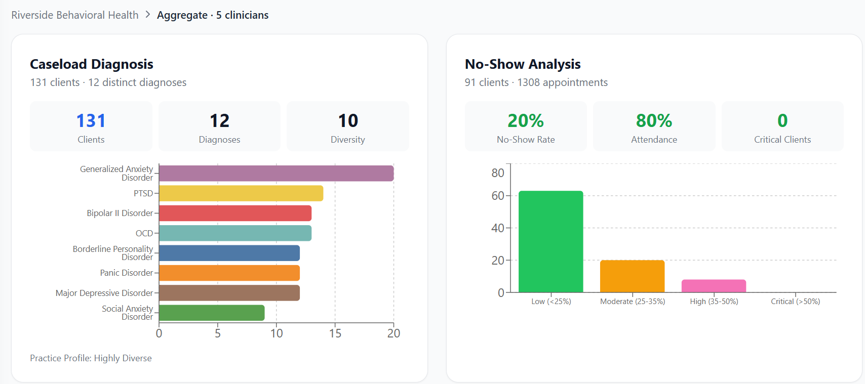 Practice-wide caseload diagnoses and attendance rate